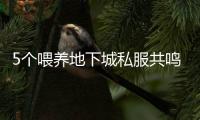 5个喂养地下城私服共鸣装备的技巧