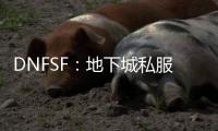 DNFSF：地下城私服的神秘面纱与独特魅力